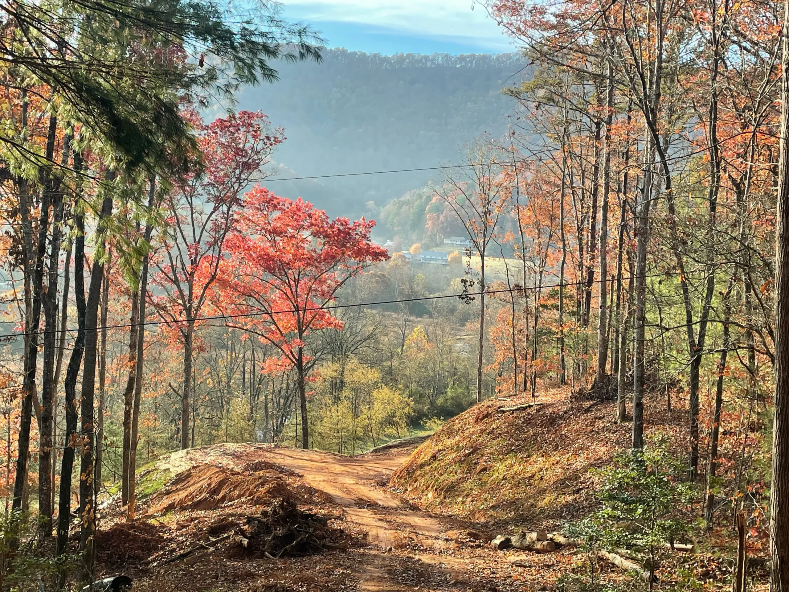 Vibrant autumn scene featuring a winding dirt path lined with trees displaying red and yellow foliage