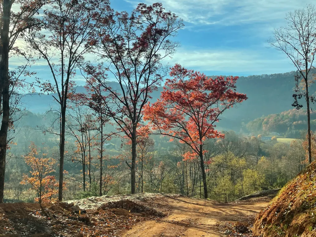 Vibrant autumn foliage frames a dirt path leading through a misty valley