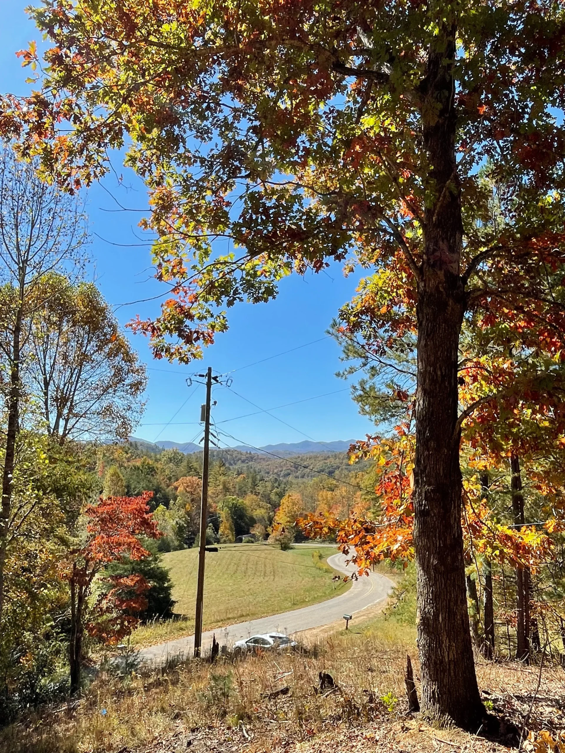 Vibrant autumn foliage frames a winding road in a mountainous landscape