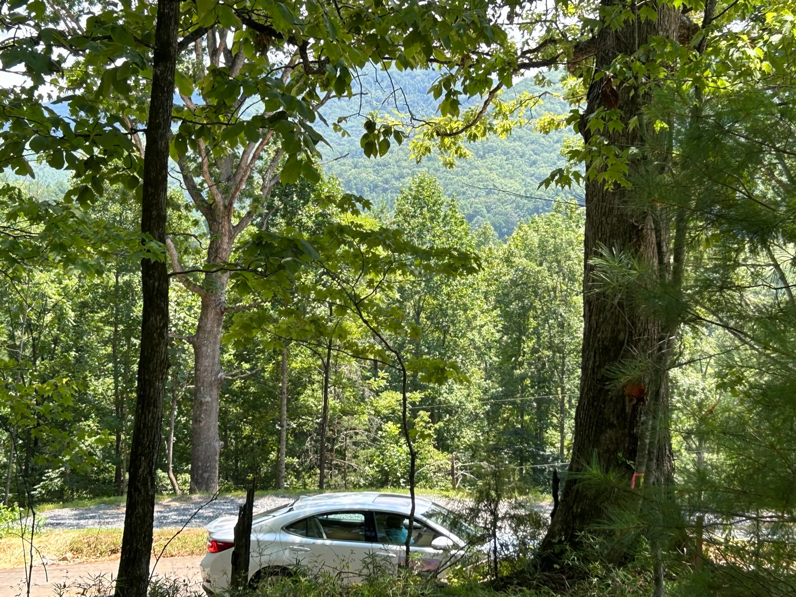 A white car parked beside a gravel road, surrounded by lush green trees and distant mountains under a clear sky