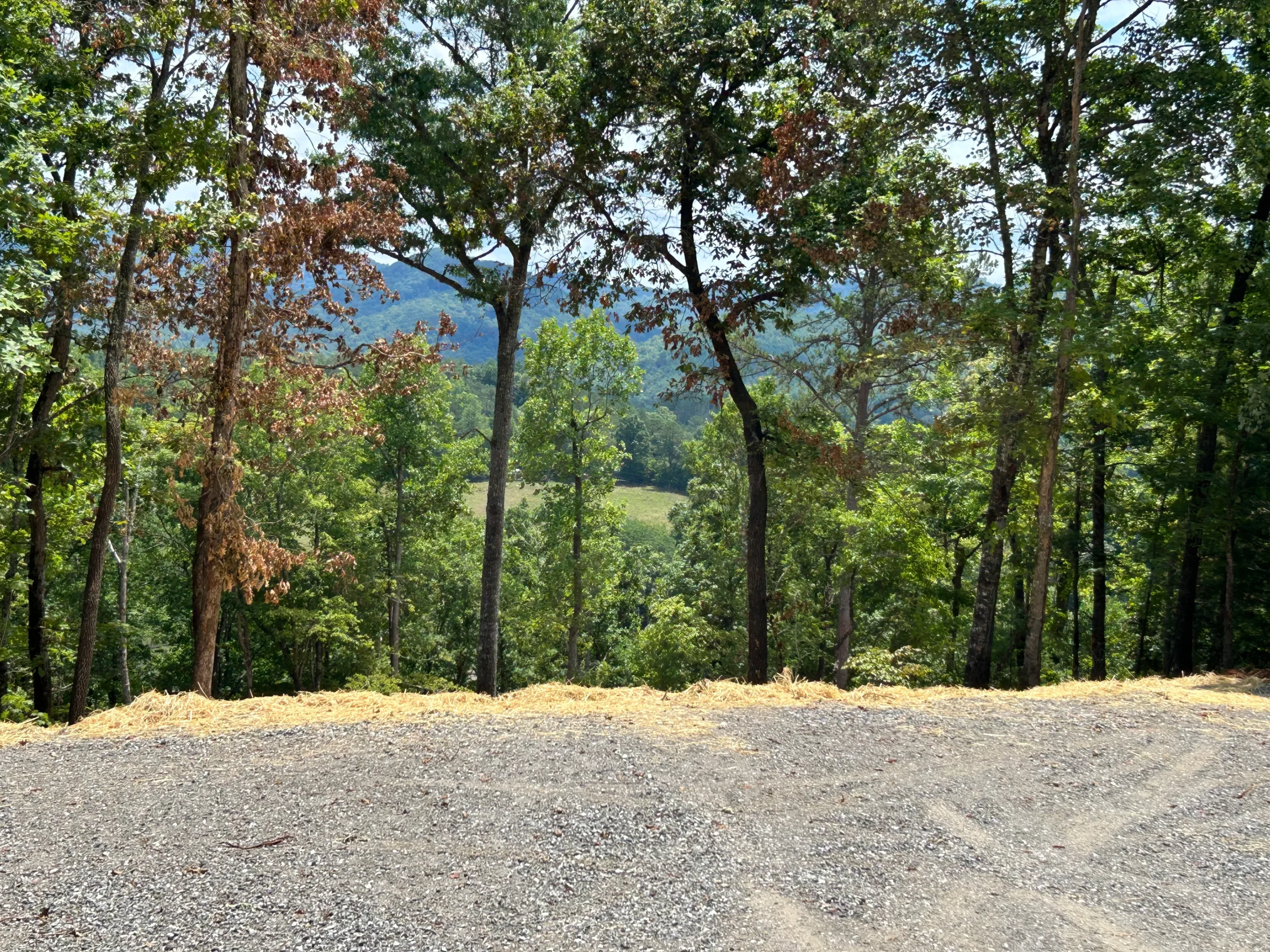 Lush green trees frame a gravel clearing, revealing a serene valley and distant mountains under a clear sky