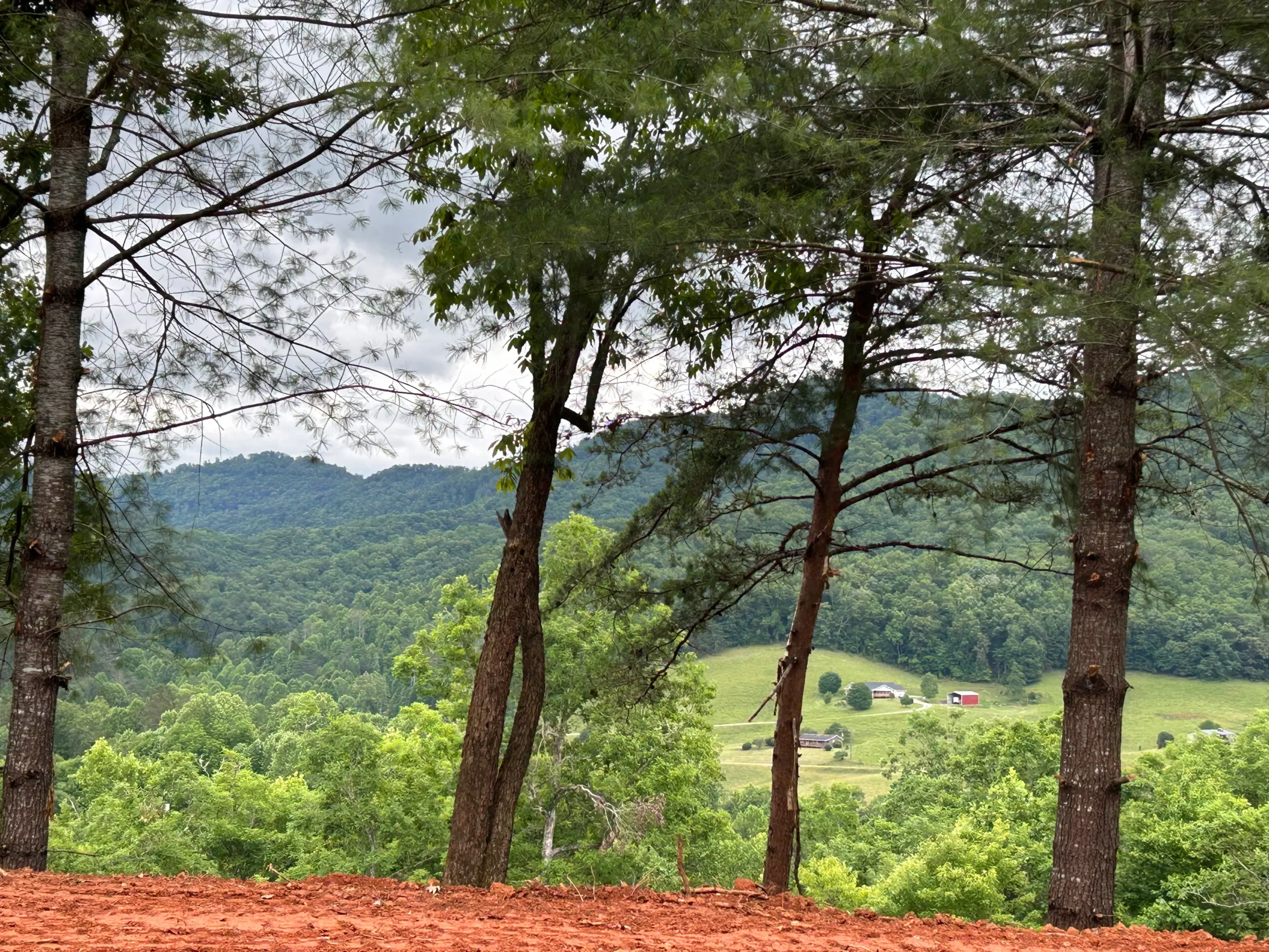 Lush green hills and scattered farms are framed by towering trees under a cloudy sky