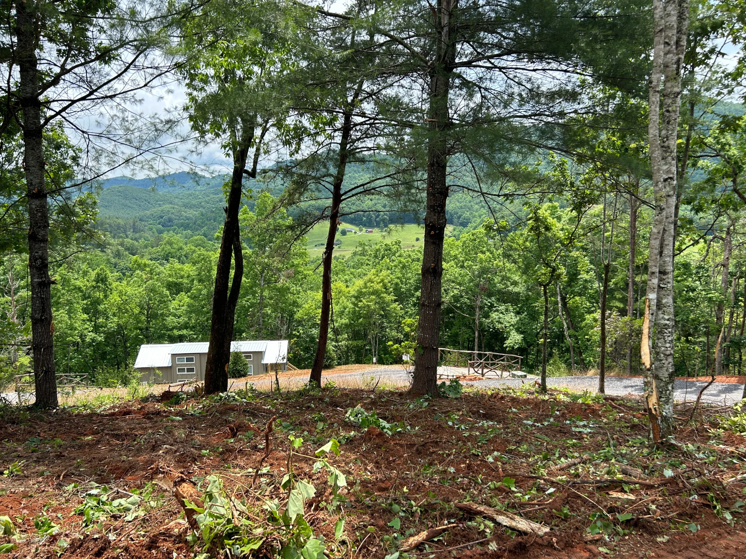 Lush green hillside framed by trees, showcasing a small gray building with a metal roof
