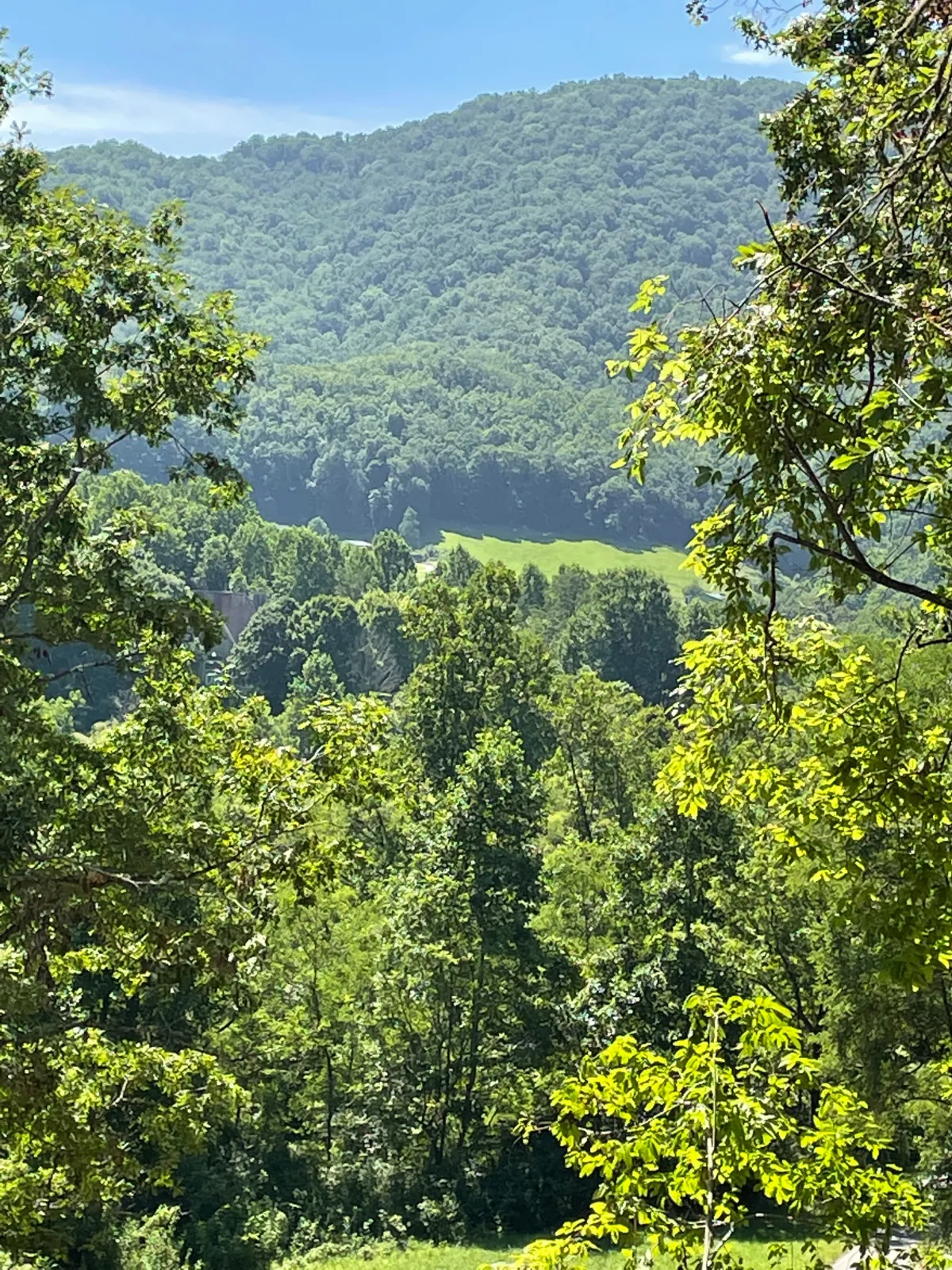 Lush green trees frame a scenic view of rolling hills under a clear blue sky