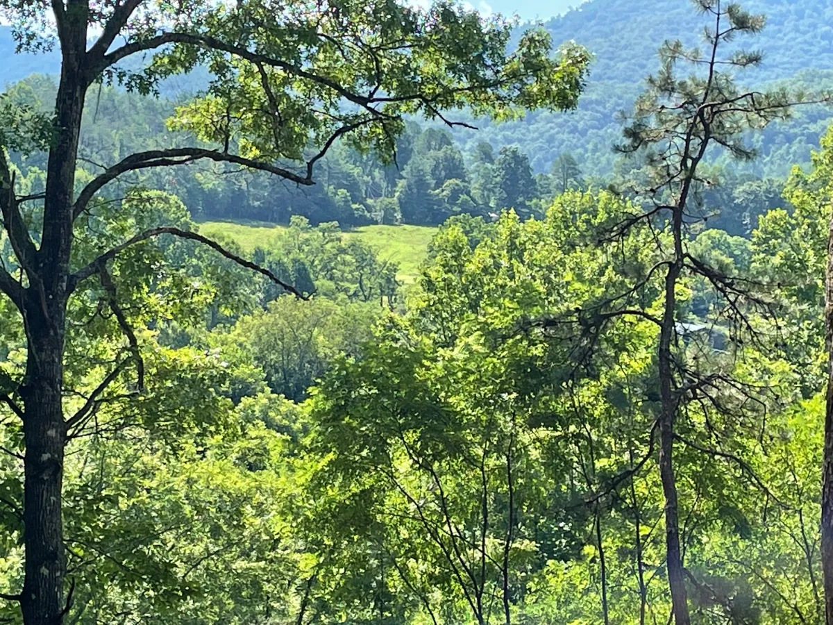 Lush green landscape framed by trees, showcasing rolling hills and distant mountains under clear blue skies.